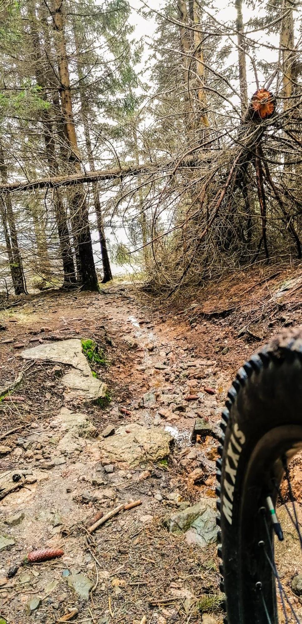 Harzbeat Διαμέρισμα Braunlage Εξωτερικό φωτογραφία