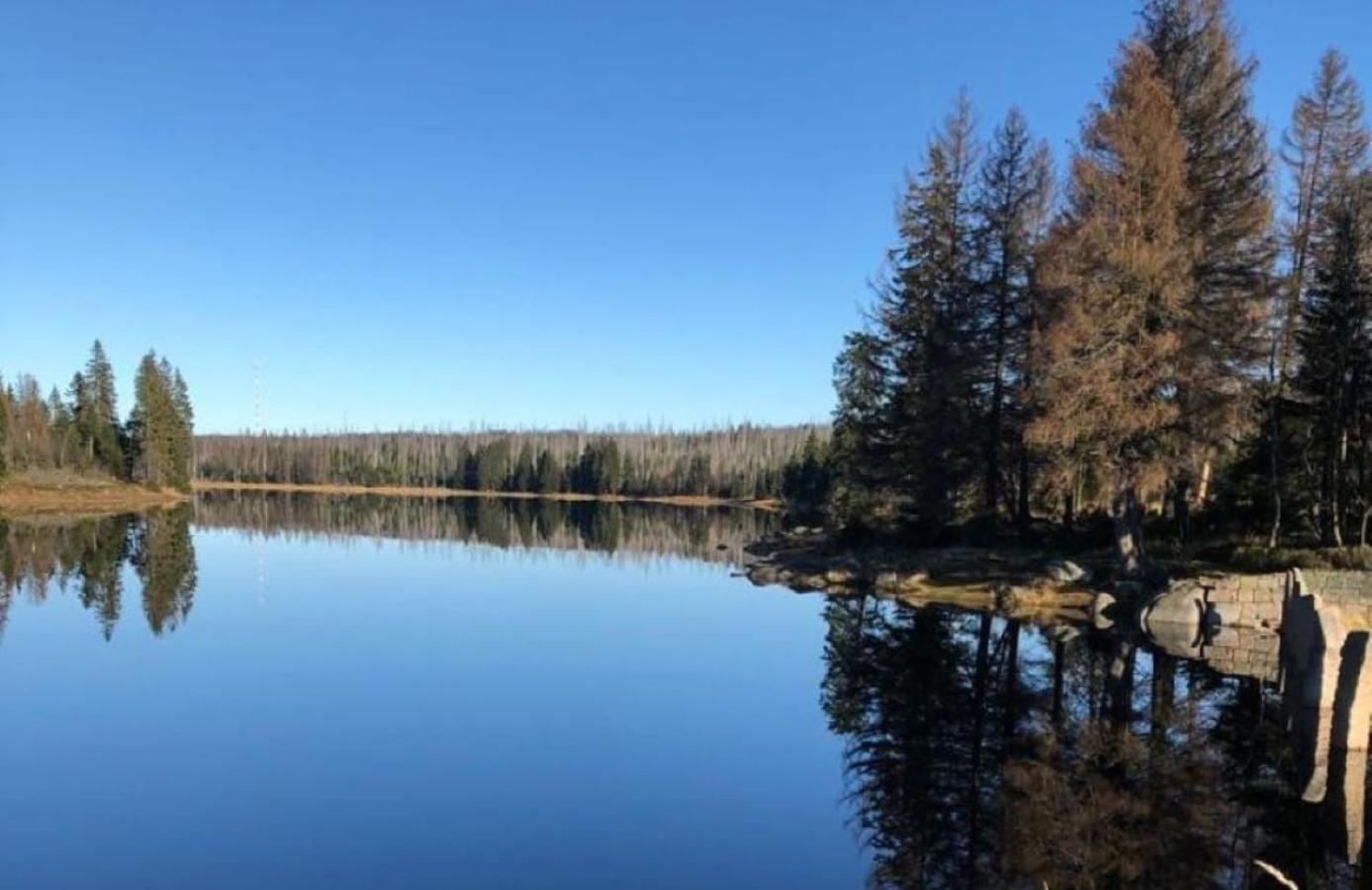 Harzbeat Διαμέρισμα Braunlage Εξωτερικό φωτογραφία